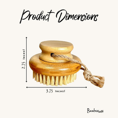 Wooden body brush with measurements on a white background.