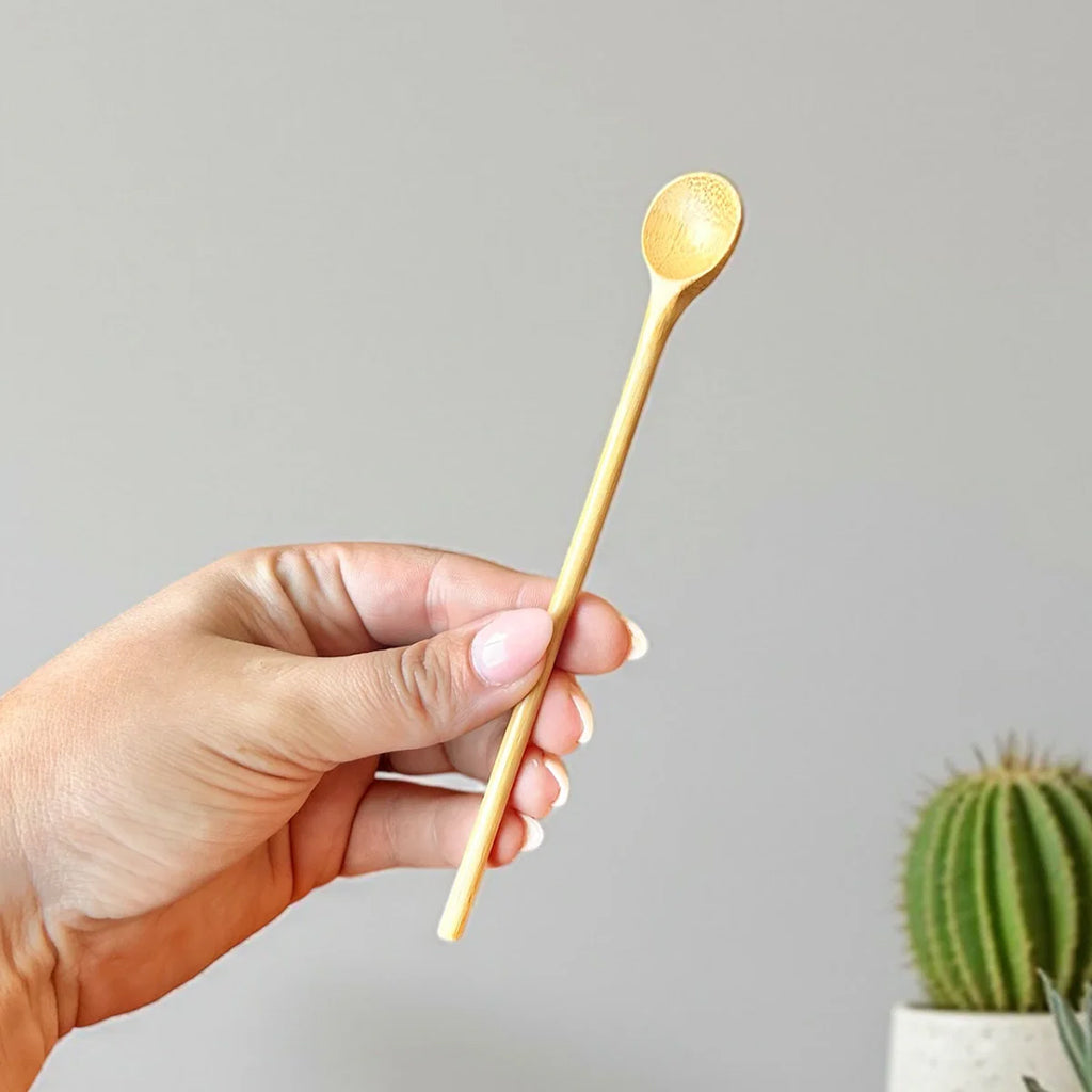 Hand holding a bamboo spoon with a cactus in the background