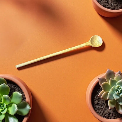 Bamboo spoon on an orange surface with potted succulents