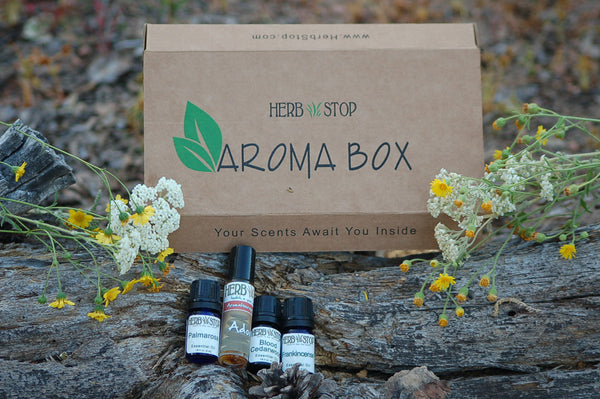 Autumn Is Here Essential Oil Kit