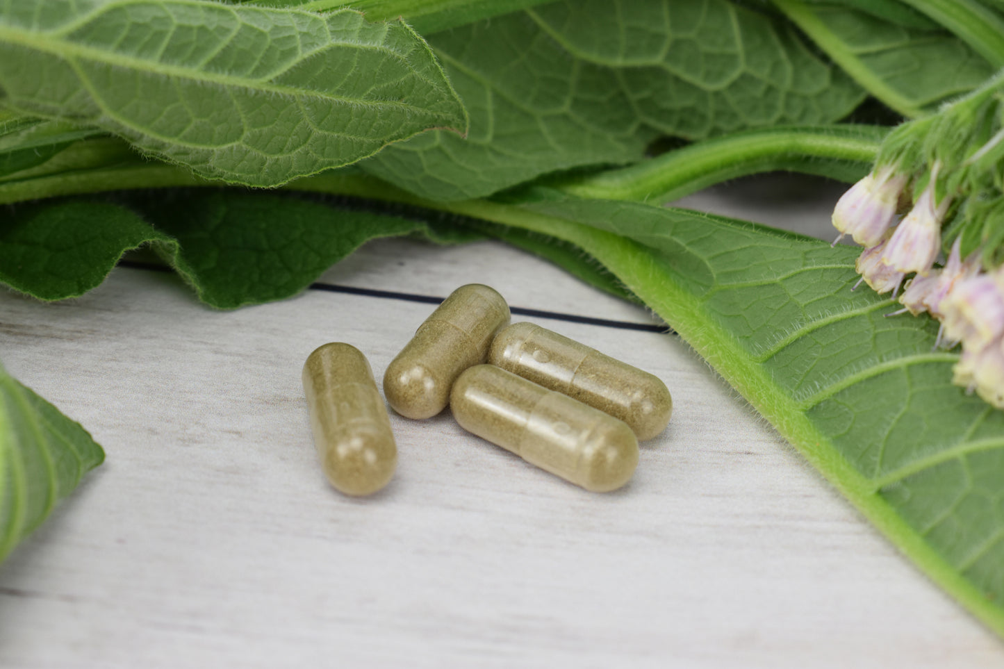 Comfrey Leaf Capsules