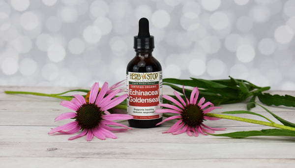 Echinacea/Goldenseal Extract with Flowers