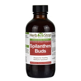 Spilanthes Buds Herbal Extract 4 oz Bottle