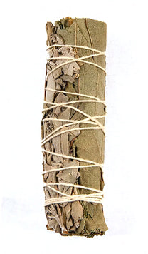 White Sage & Eucalyptus Smudge Stick
