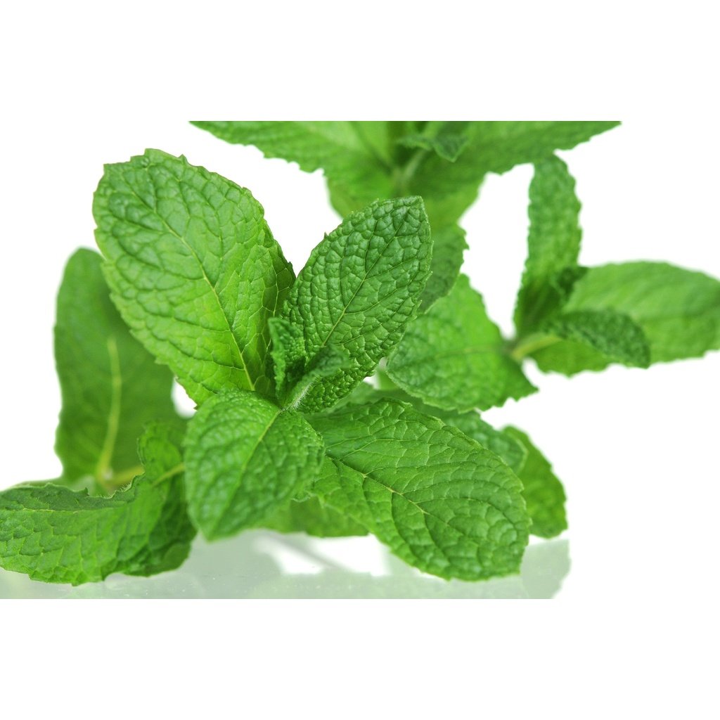 Spearmint Essential Oil