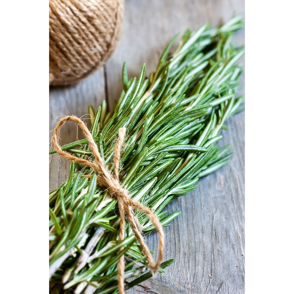 Rosemary Essential Oil