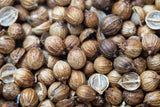 Coriander Essential Oil