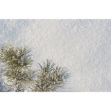 Winter Wonderland Essential Oil Kit