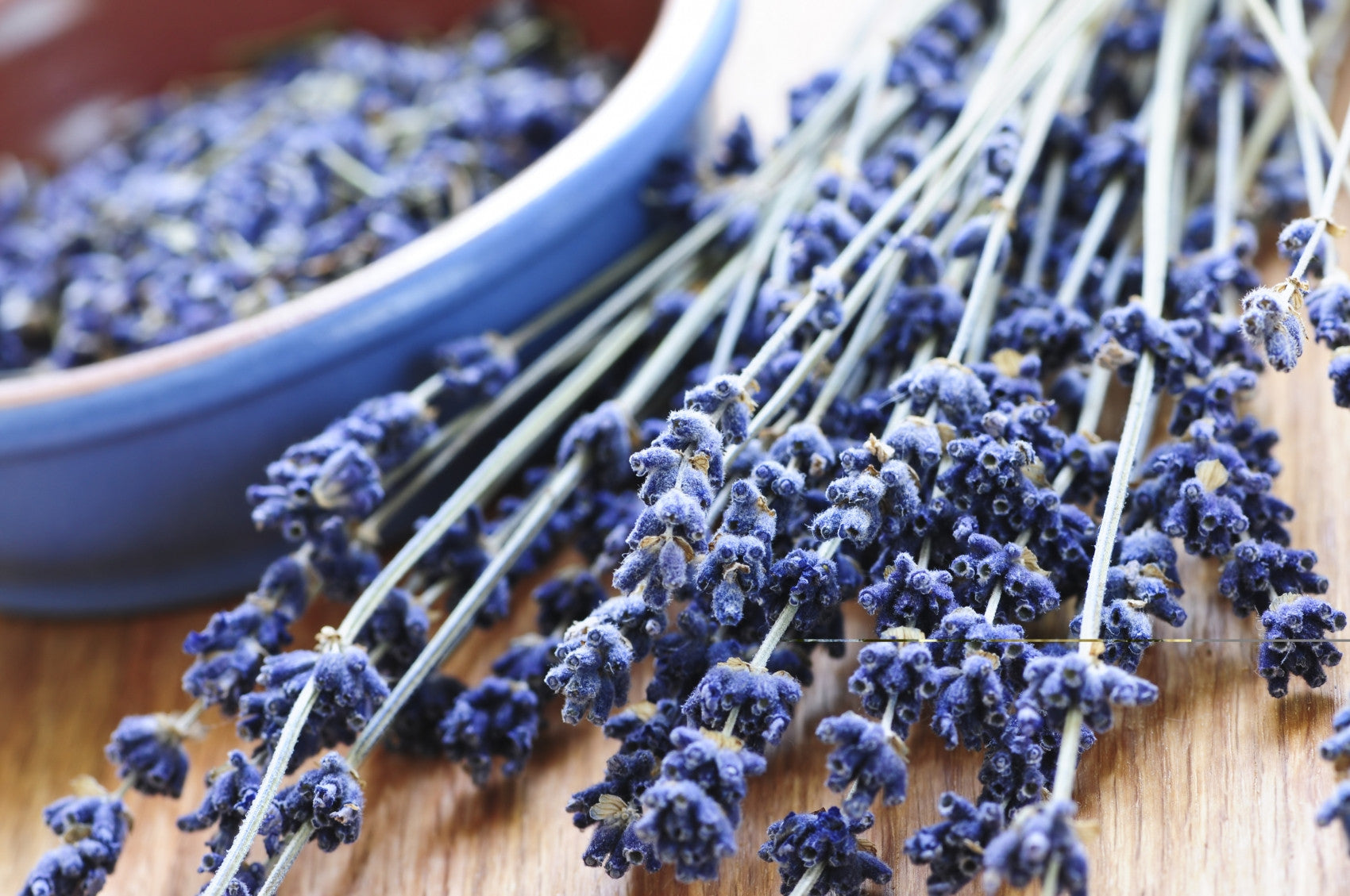 Lavender Essential Oil